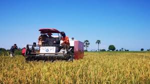 Karena indonesia adalah negara agraris yang dimana sebagian masyarakatnya bermata pencaharian di bidang petanian, sehingga dalam penyerapan tenaga kerja paling banyak di sector pertainan yang menyokong. Ipb Apresiasi Pertumbuhan Sektor Pertanian Di Masa Pandemi Covid 19