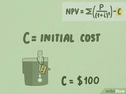If you've never calculated net present value (npv) before, the process can feel kind of perplexing. 4 Ways To Calculate Npv Wikihow