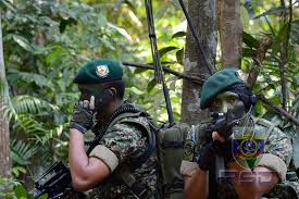 By downloading this file, you are agree to the terms & conditions. Restructuring Of The Signals Regiment Malaysian Defence