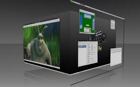 Image result for compiz