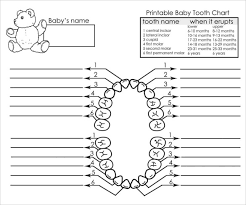 Sample Baby Teeth Chart 5 Documents In Pdf