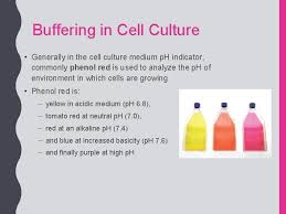 Check spelling or type a new query. Cell Culture Part 1 What Is Cell Tissue