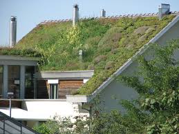 The long stride radical, 廴. Ecological Dimensions Of Towns Part Ii Towns Ecology And The Land