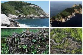 2 ianuarie 201930 iulie 2018. Curiozitati Interesante È™i Misterioase Despre Lumea In Care TrÄƒim