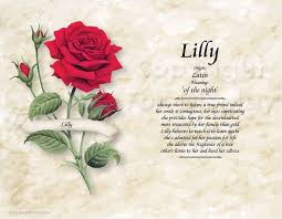 First Name Meaning Red Rose Etsy In 2020 Names With Meaning Meant To Be First Name Meaning