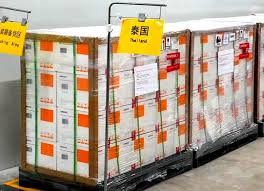 Der gesundheitsminister anutin charnvirakul hat am samstag (29. Gesundheitsminister Anutin Bekommt Die Erste Covid 19 Impfung Thailandtip