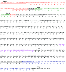 Join nubiles.net, the teen megasite that started it all! Tomato Leagp 1 Arabinogalactan Protein Purified From Transgenic Tobacco Corroborates The Hyp Contiguity Hypothesis Zhao 2002 The Plant Journal Wiley Online Library