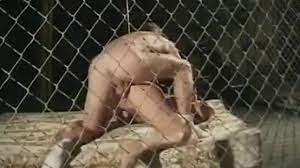 Sticky tales and cassic porn. More Classic Porn Sticky Tales Xxx Video