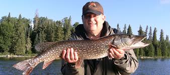 Northern Pike Fishing Erringtons Wilderness Island