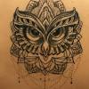 Fuchs und waschbär ausmalbild, mandala, malbuch, mandalabild, spirit of nature, kawaii, download. Https Encrypted Tbn0 Gstatic Com Images Q Tbn And9gcrdyqnjevce2vvukx2szboi Gnujdogzefzu6or7zbhzvxh Az Usqp Cau