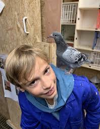 TEAM SLEE–MAERTENS, (Damme)