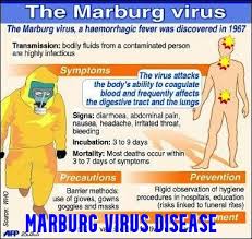 Marburg virus is a hemorrhagic fever virus of the filoviridae family of viruses and a member of the species marburg marburgvirus, genus marburgvirus.marburg virus (marv) causes marburg virus disease in humans and nonhuman primates, a form of viral hemorrhagic fever. Rnkths4guaqfqm