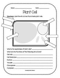 Get exclusive insider tips on how to ace the sat and act for free! Plant Animal Cell Diagrams Cell Diagram Animal Cell Plant And Animal Cells