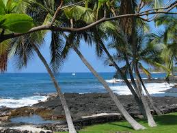Aloha Gary