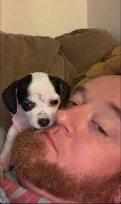 In the episode Helicopter does anyone else wonder why Bluey can't go to  Honeys after school if Honey is at school too?? Like why can't Honeys mum  take her to her house