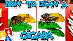 This insect is known from its many members who make loud. How To Draw A Cicada Insect Art For Kids Hub