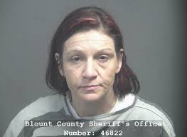 BLAIR, KEVIN ELLIOTT Charges: W- FAILURE TO PAY CHILD SUPPORT W- FAILURE TO  PAY CHILD SUPPORT This information and more is available  https://apps.myocv.com/share/a95737804