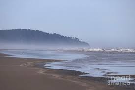 Misty Washington Beach by Carol Groenen