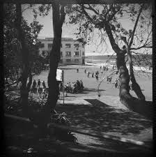 Cronulla Beach In Southern Sydney In 1953 Photo History