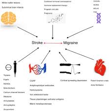Image result for Stroke Pathophysiology