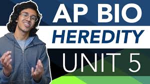 May 14, 2021 · ap biology course and exam description this is the core document for the course. Ap Bio Unit 5 Crash Course Heredity Youtube