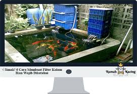 Toh ini juga untuk kepentingan usaha itu sendiri. Simak 6 Cara Membuat Filter Kolam Ikan Wajib Diketahui