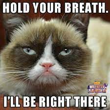 Hold Your Breath I Ll Be Right There Grumpy Cat Grump Cat Grumpy Cat Humor