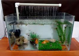Pin On How To Make An Aquarium Fountain Using A Pvc Pipe Diy