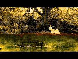 Wild Geese Illustrated Poem Recited By Mary Oliver Mary Oliver Mary Oliver Poems Great Poems