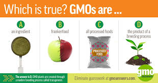 Gmo (genetically modified organism) has become the common term consumers and popular media use to describe foods that have been created through genetic engineering. Environmental Benefits Of Gmos Vs Organic Crops Gmo Answers