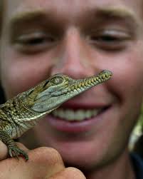 Cutest wombat in the country? We're looking at you, Millie