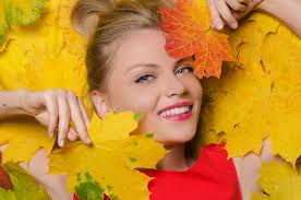 Erica gracilis foto de archivo. Imagen de plantar, sueco