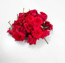 Flowers have always dominated and made their position strongly in the gifting world. Getflowersdaily On Twitter Get Mirabel Rose Flowers Online In Bangalore Visit Online Shop Https T Co Xlg8celycg Pooja God Red Rose Flower Mirable Loose India Bangalore Getflowerdaily Decoration Function Https T Co 3cqvfvuyeq