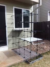 Cats love the outdoors, but allowing your cat to roam freely in your yard is not the best idea for your cat, the birds and other wildlife in the neighborhood, or for neighbors who might be allergic to or annoyed by your pet. How To Build Your Own Catio From Cat And Caboodle Outdoor Cat Enclosure Cat Enclosure Diy Cat Enclosure