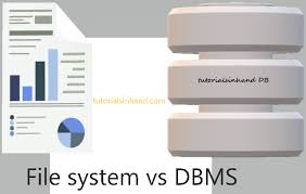 Dbms Vs File Management System Advantages And Disadvantages Of Dbms Tutorialsinhand Com