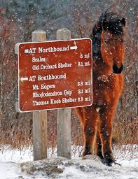 Hi/low, realfeel®, precip, radar, & everything you need to be ready for the day, commute, and weekend! Ponies Of The Grayson Highlands Appalachian Voices