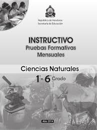 Sábado, 29 de diciembre de 2018. 1ro A 6to Instructivo Pruebas Formativas Ciencias Naturales 2014 Plan De Estudios Plantas