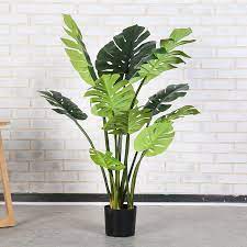 Maybe you would like to learn more about one of these? 170cm Large Artificial Monstera Tree Tropical Fake Plants Green Indoor Tree With Pot Plastic Turtle Leafs For Office Home Decor Artificial Plants Aliexpress