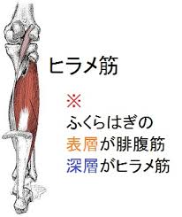 데스마치에서 시작되는 이세계 광상곡 20권 (카카오) ㅅㅅ. ãƒ'ãƒ©ãƒ¡ç­‹ã®ã‚»ãƒ«ãƒ•ã‚¹ãƒˆãƒ¬ãƒƒãƒ ãã™ã æŽ¥éª¨é™¢ ç¥žæˆ¸å¸‚åž‚æ°´åŒº