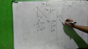 Demikian penjelasan mengenai rumus segitiga istimewa dalam matematika. Luas Segitiga Siku Siku Matematika Sd Smp Youtube