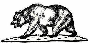 California Grizzly Ursus Californicus Sketch California Bear Tattoos California Bear Grizzly Bear Drawing