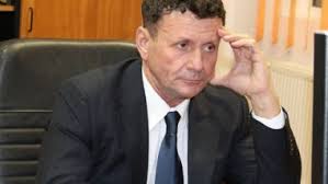 academician adrian toader