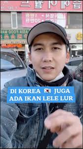 Lele Korea: Menemukan Ikan Lele di Korea