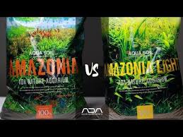 amazonia light a new addition to the aqua soil lineup has been developed as a substrate material that even newcomer aquascapers planted aquarium basic light