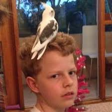 Stream Universal Cereal Bus by Montykins