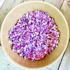 We did not find results for: There S So Much To Look Forward To At Mountain Flower Farm North Conway Dining