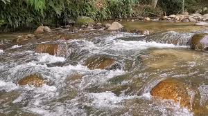 Santai riverside terletak di janda baik, lokasi camping yang sangat santai, kemudahan bersih nama campsite: Santai Riverside Janda Baik Home Facebook