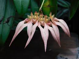 结缘之窗 煩惱與習氣 blog posts buddhism blog