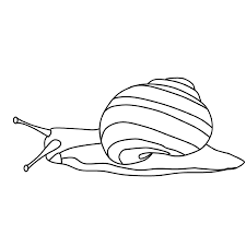 Kostenlose Malvorlage Tiere Ausmalbild Schnecke Zum Ausmalen