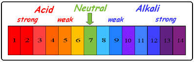 Ph Scale Acids Bases Solubilityby Eli Segre